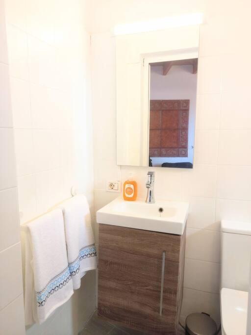 Estudio Don Antonio En El Centro De La Laguna 라 라구나 외부 사진